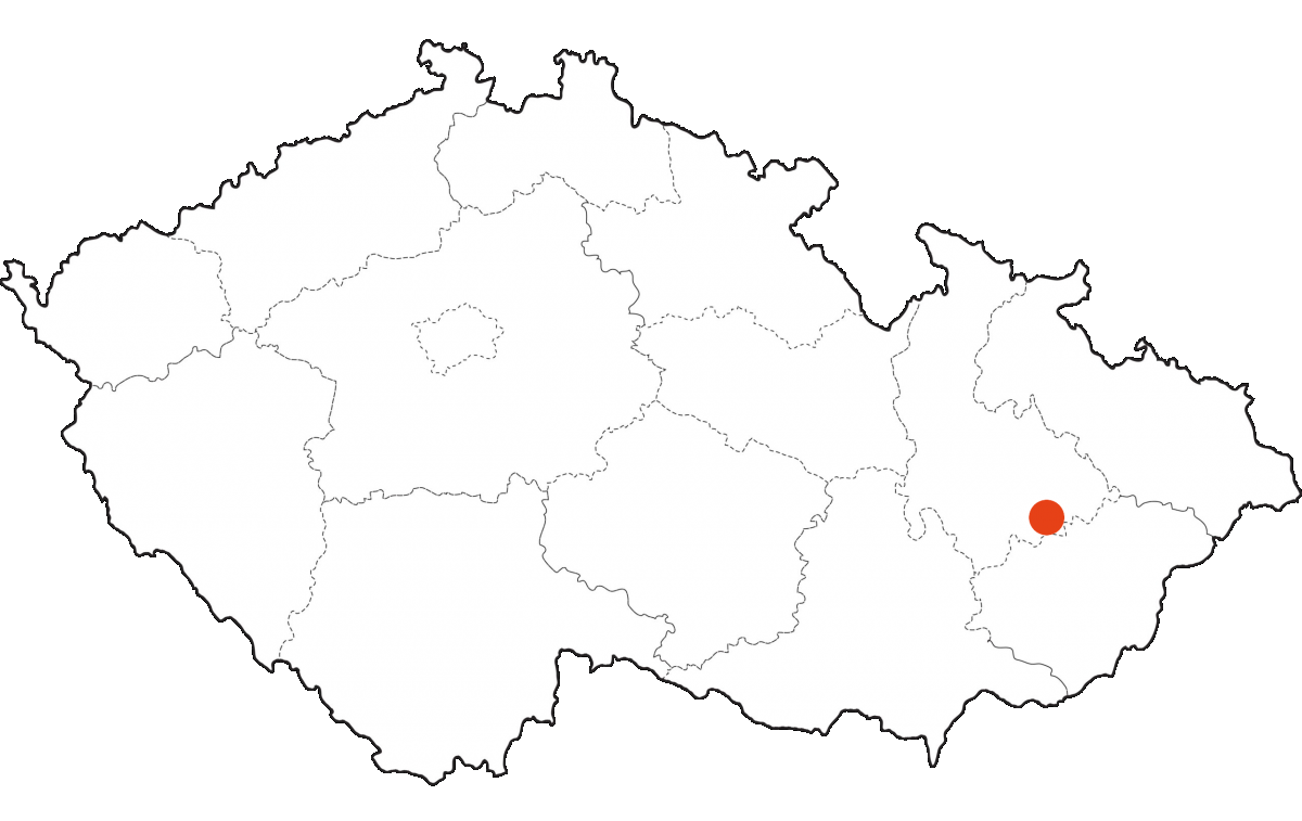 Veřejné osvětlení v Dřevohosticích